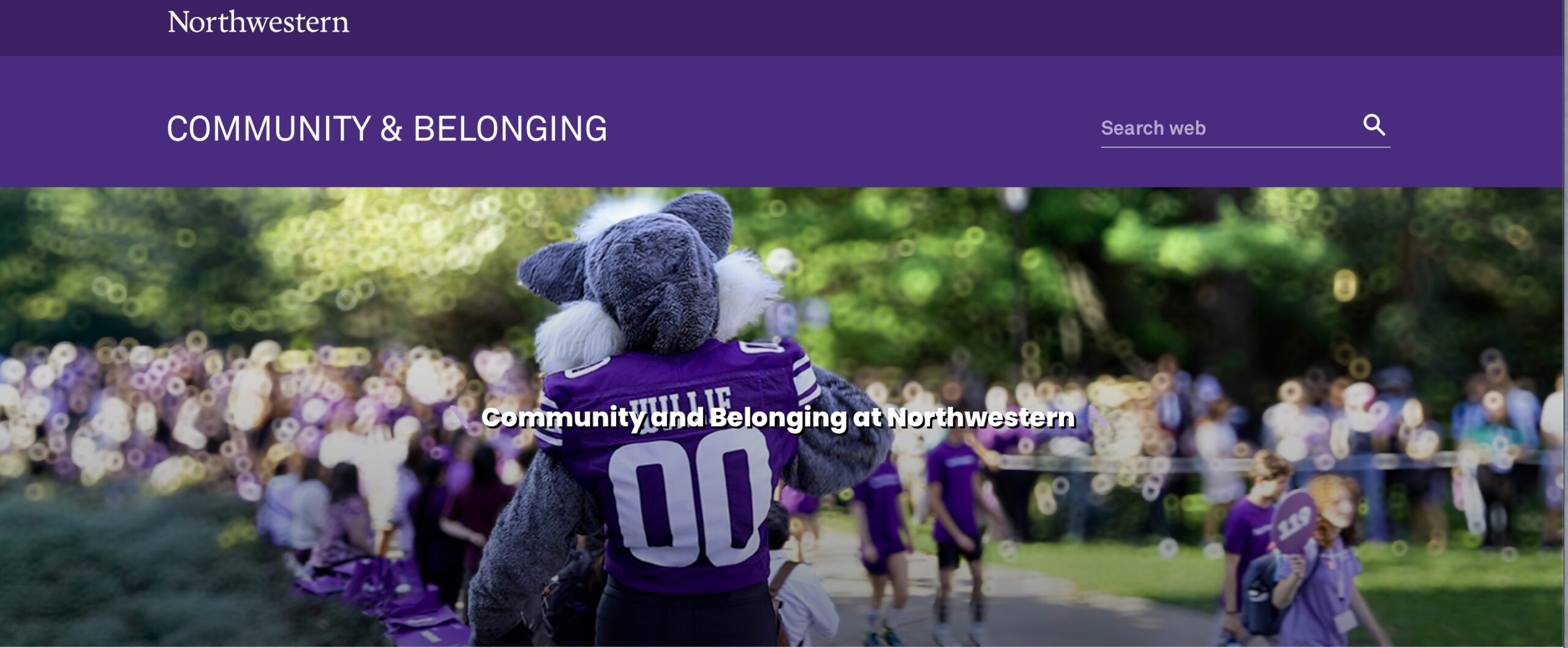 Screenshot of new community and belonging page on Northwestern's website